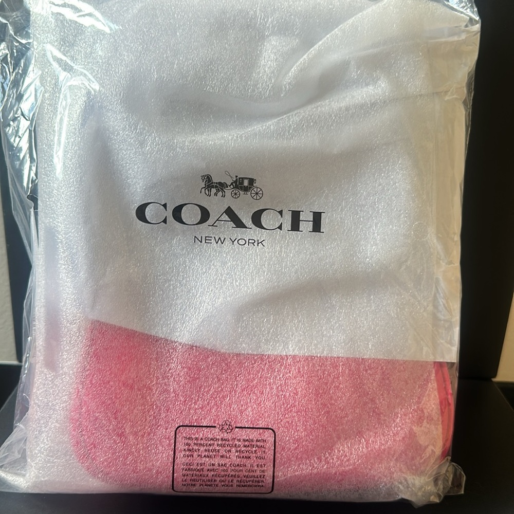 NWT coach!! Teri Mini Crossbody Bag With Palm Tree Charm - Picture 8 of 8